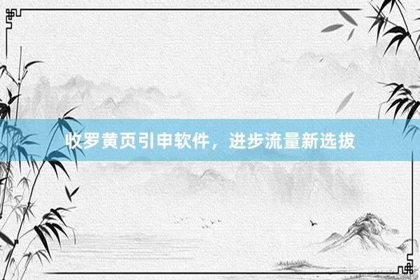 收罗黄页引申软件，进步流量新选拔