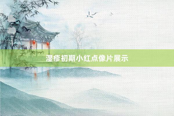 湿疹初期小红点像片展示