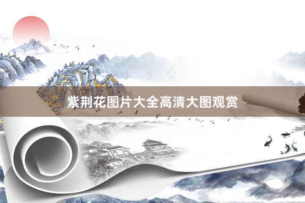 紫荆花图片大全高清大图观赏